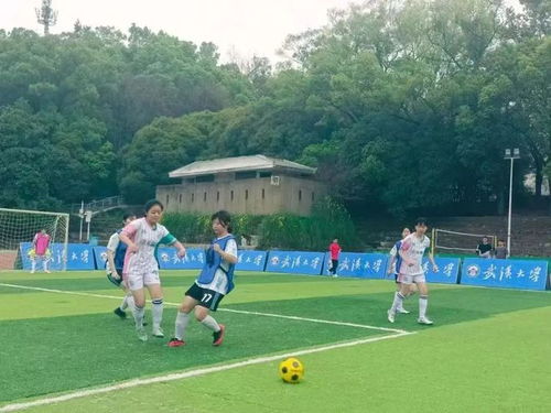 李心怡