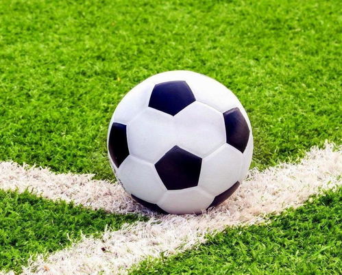 山東日照鋼鐵女排3-0完勝河北女排 豪取三連勝