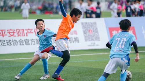 杰曼28分周琦15+12 北京北汽輕取北京控股